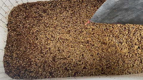 Peru Finca Artemira - Family Lot