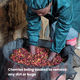Rwanda Kinini KCRS
