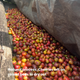 Rwanda Kinini KCRS