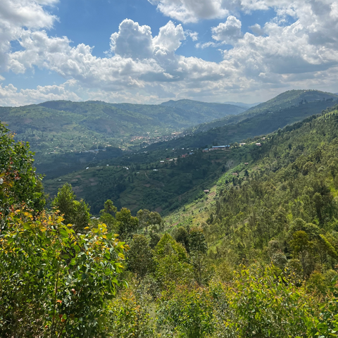 Rwanda Kinini KCRS