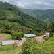 Peru Finca Artemira - Family Lot