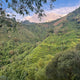 Colombia Nogales Decaf