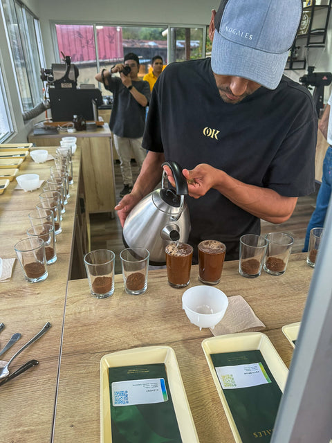 Colombia Nogales Decaf