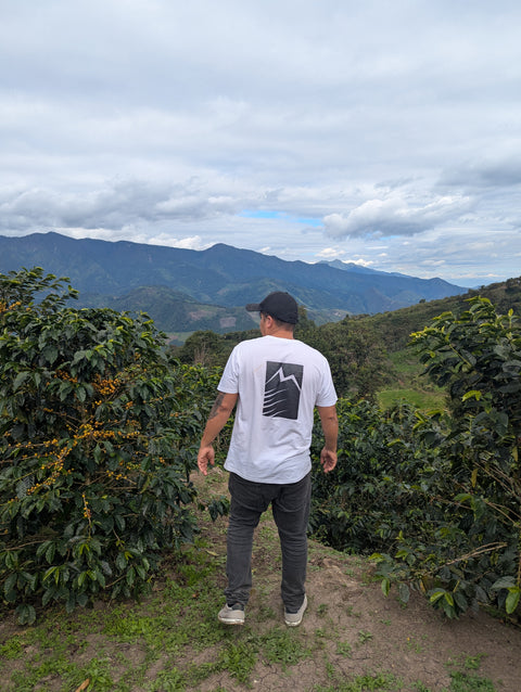 Peru Finca Artemira - Family Lot