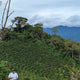 Peru Finca Artemira - Family Lot