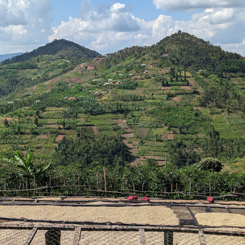 Rwanda Kinini KCRS