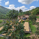 Rwanda Kinini KCRS